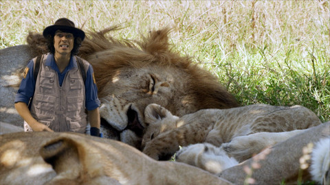 Andy na safari - Lvi