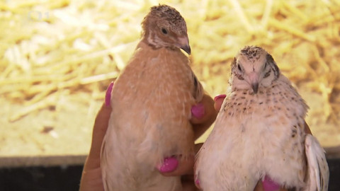 Hobby naší doby - 17. října 2020