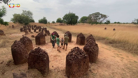 Zprávičky - 25. srpna