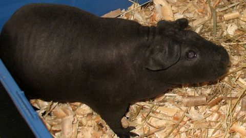 Máte mě! - 18. září 2011