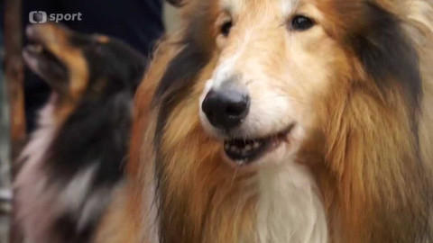 Sport v regionech - Koruna Česka, Praděd