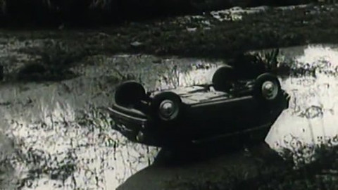 Archiv ČT24 - Rozmary přírody