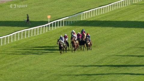 Turf - 2. září 2015