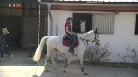 Zprávičky - 31. prosince 2020