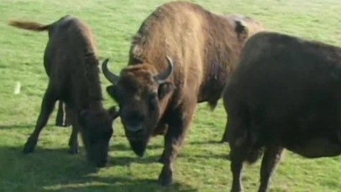 Toulavá kamera - 3. prosince 2006