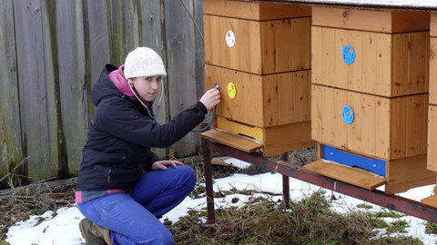 Malá farma - Čaj s medem