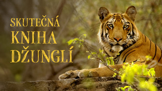 Skutečná Kniha džunglí
