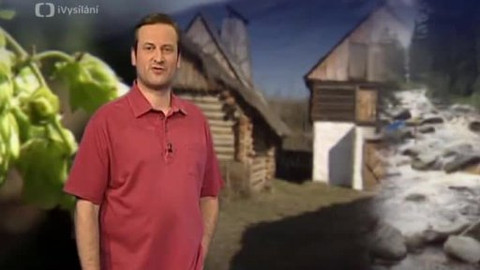 Toulavá kamera - 17. července 2005