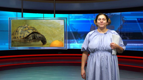 Politika se nás týká - 3. Politická kampaň