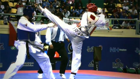 Taekwondo
