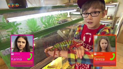 Wifina - 24. května 2014