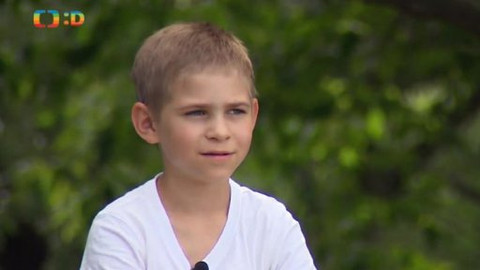 Paličky - Dinosaurus