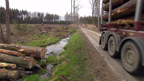 Nedej se! - Nepoučitelní?