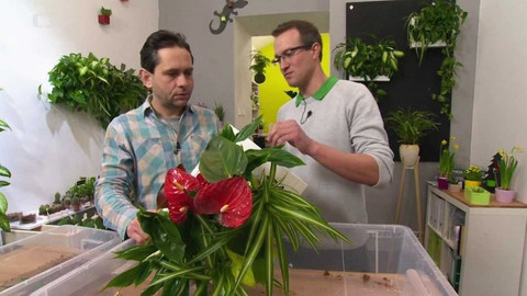 Polopatě - 14. února 2016