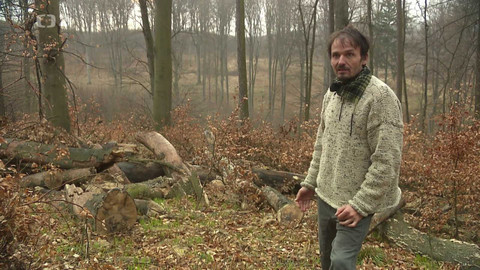 Nedej se! - Továrna na dřevo jako národní dědictví