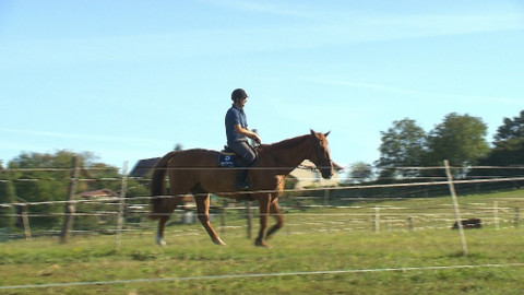 Chcete mě? - 13. září 2020