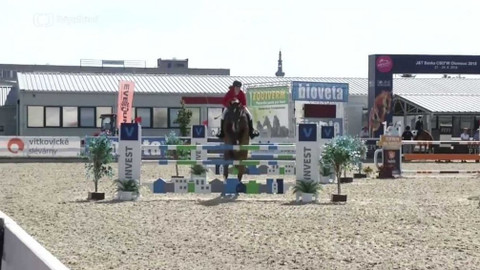 Jezdectví - Velká cena Olomouce