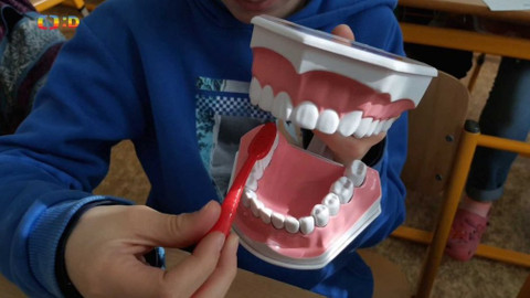 Zprávičky - 20. března 2019