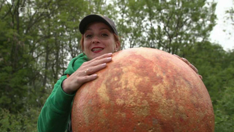 Tamtam - Tamtam plus