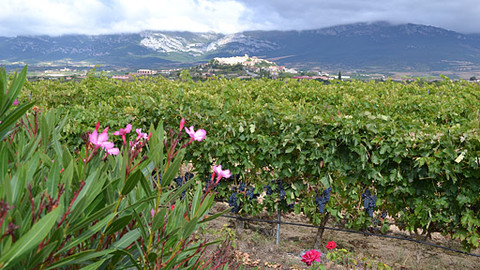 Postřehy odjinud - Baskicko očima Jaroslava Skalického