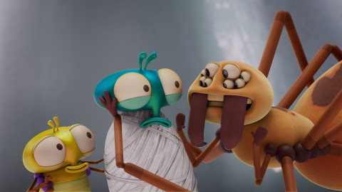 Moucha Loyd - 6/52 Pavouk a moucha