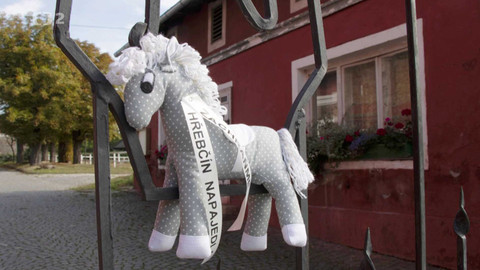 Nedej se! - Šance pro hřebčín