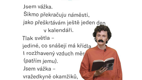 Jedna báseň - Iryna Zahladko