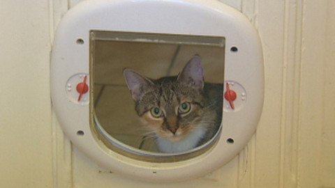 Chcete mě? - 21. prosince 2014