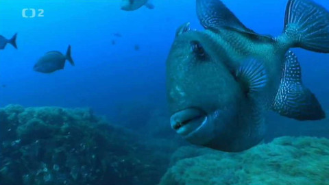 Dobrodružství vědy a techniky - Skrytí velikáni