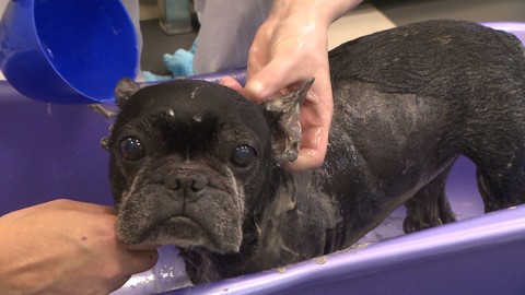 Chcete mě? - 12. června 2016