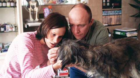 Ranč U Zelené sedmy - 42/42 Jak kostky byly vrženy