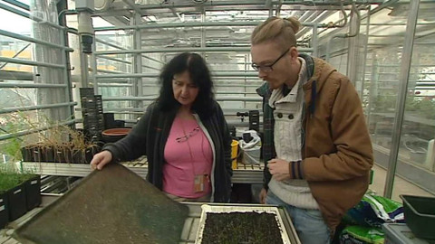 Černé ovce - 16. ledna 2017