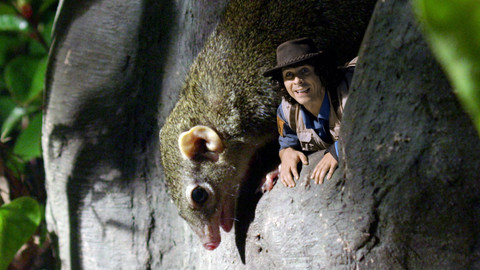 Andy na safari - Tana tenkoocasá