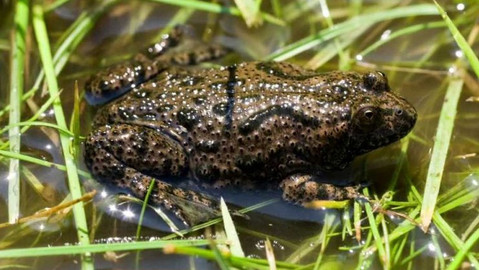 Chcete mě? - 15. září 2019