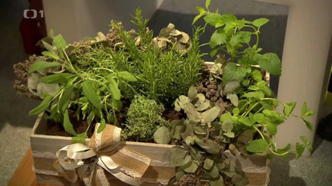 Hobby naší doby - 30. června 2018