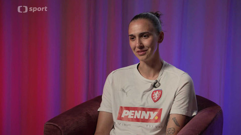 Lvice mimo hřiště - Olivie Lukášová