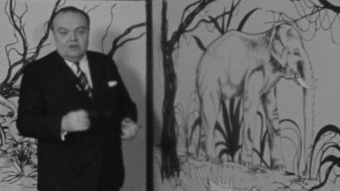 A na dobrou noc ? - Hřbitovy slonů