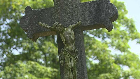 Wiadomości w języku polskim - 7. srpna 2022