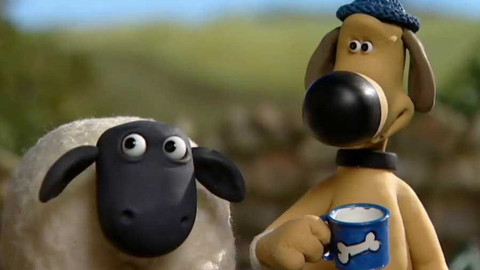 Ovečka Shaun - 24/40 Velké prádlo