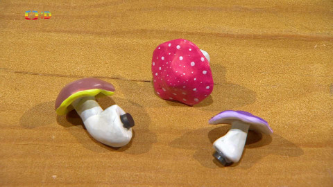 Šikulové - Velká výzva - 16. října