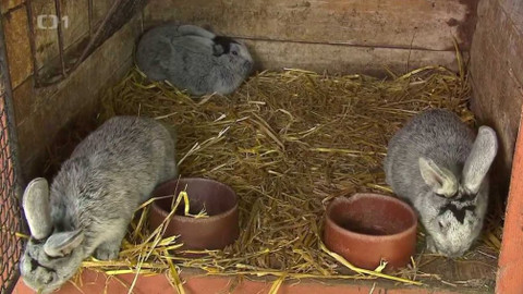 Hobby naší doby - 24. října 2020