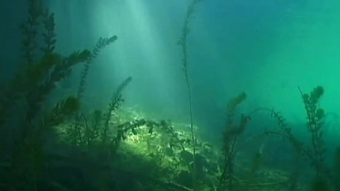 Obyvatelé českých vod - 1/6 Vznik života