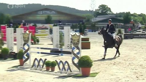 Jezdectví - Martinický šampionát mladých koní 2014