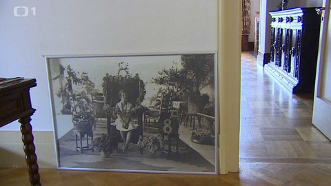 Týden v regionech (Brno) - 28. července 2018