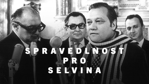 Spravedlnost pro Selvina