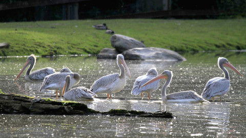 Chcete mě? - 30. října 2016