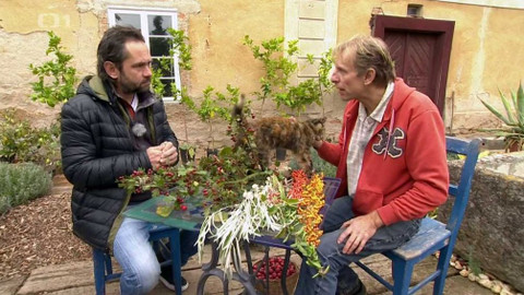 Polopatě - 3. listopadu 2019