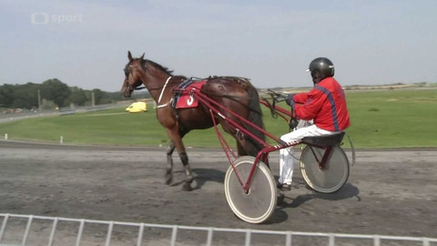 Jezdectví - Středoevropská cena Bravantice