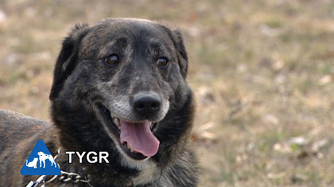 Chcete mě? - Chcete je?