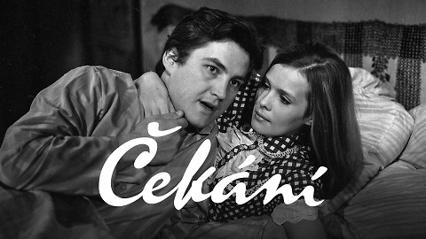 Čekání